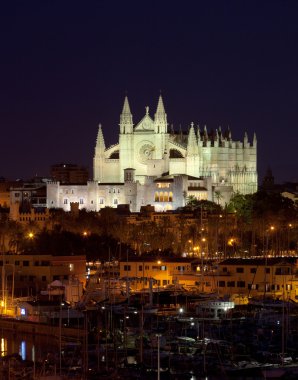 Katedral manzaralı palma de Mallorca en iyi santa maria