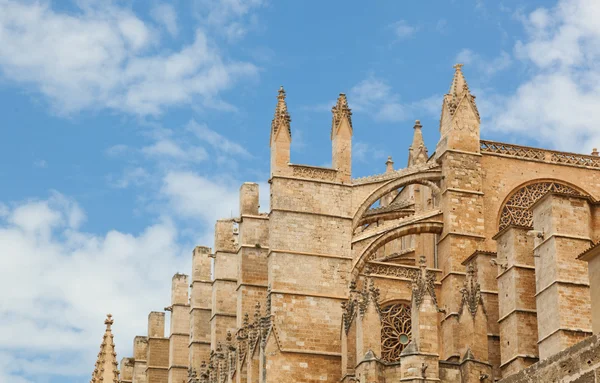 Close-up van de kathedraal van Palma de Mallorca — Stockfoto