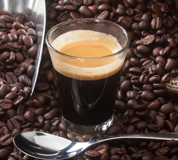 Café expreso en taza de vidrio con granos de café . —  Fotos de Stock