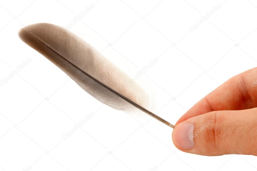 Two fingers holding a feather