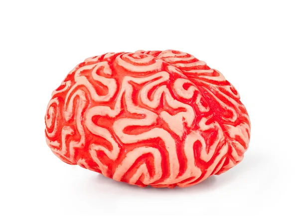 Cérebro de borracha humana — Fotografia de Stock
