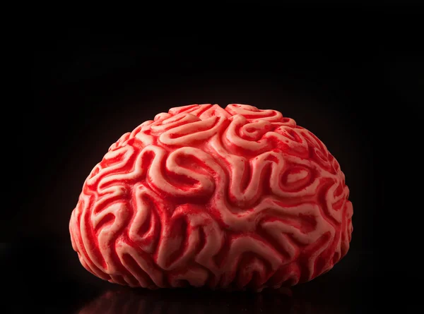 Резиновый мозг человека — стоковое фото
