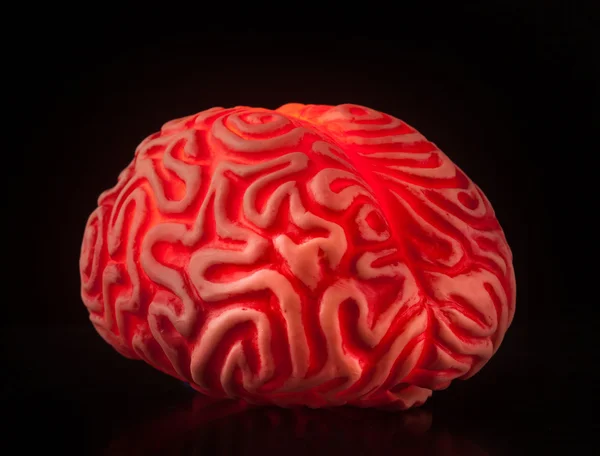 人間のゴム脳 — ストック写真