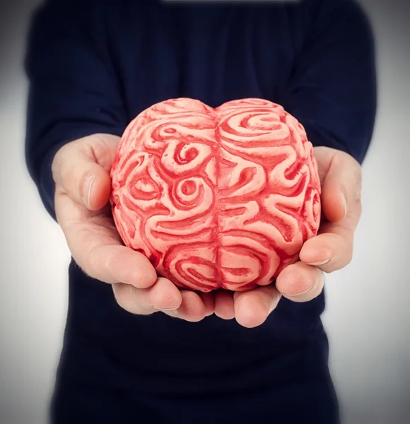 Резиновый мозг человека между рук — стоковое фото