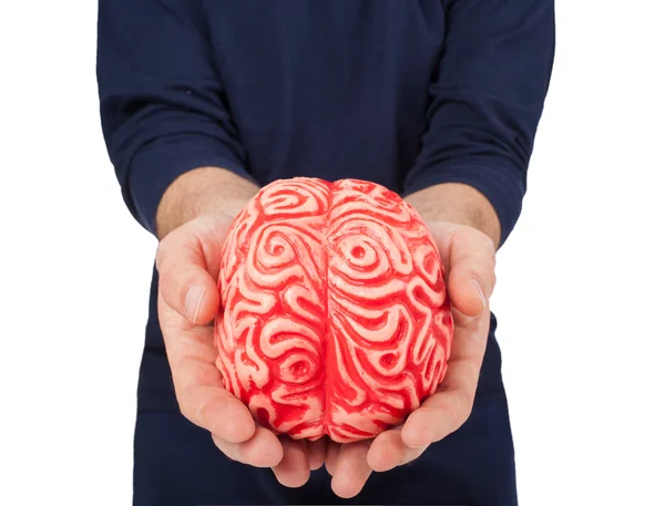 Cervello di gomma umana tra le mani — Foto Stock