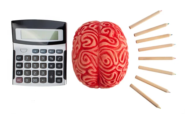 Begreppet hjärnhalvorna mellan logik och kreativitet. — Stockfoto