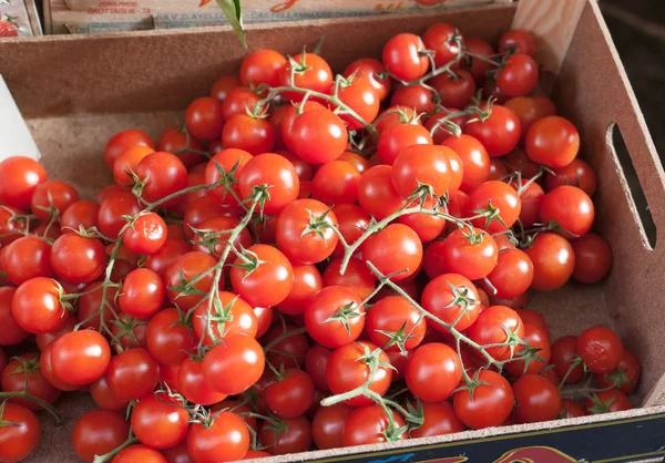 Caja siciliana de racimos de tomates cherry — Foto de Stock