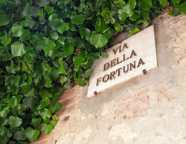 Pienza, Via della Fortuna ünlü caddesi. — Stok fotoğraf