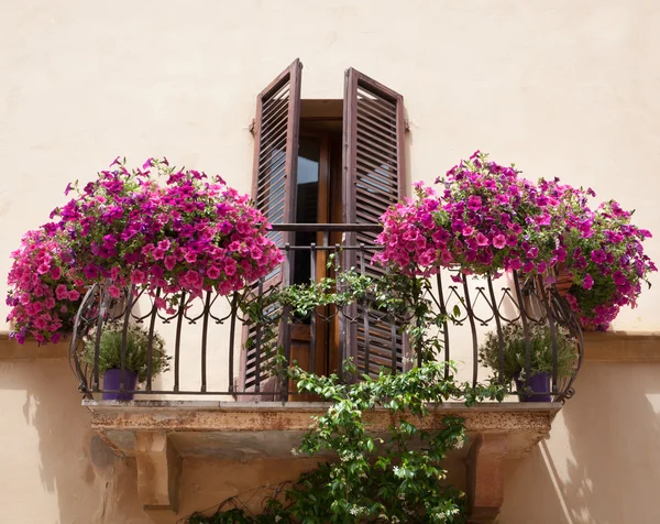 Flores em uma varanda em Pienza Toscana — Fotografia de Stock