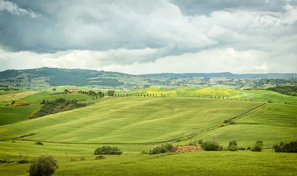 Typische landschap van de Toscaanse heuvels in Italië — Stockfoto