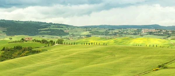 Paisaje típico de las colinas toscanas en Italia —  Fotos de Stock