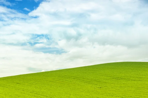 绿色的田野、 蓝蓝的天空的背景 — 图库照片