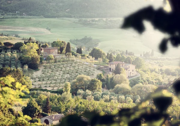 Paisagem das colinas da Toscana com clarão de lente — Fotografia de Stock