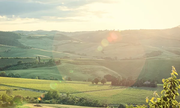 Paisaje de las colinas de Toscana con destello de lente —  Fotos de Stock