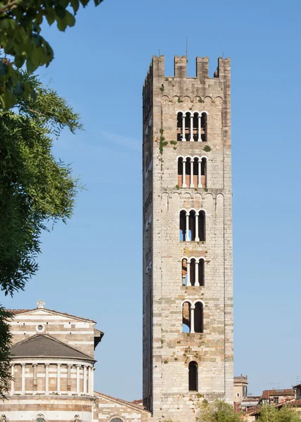 The San Frediano church tower in Lucca — Stock Photo, Image