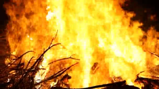 Fuego hecho con maderas naturales — Vídeo de stock