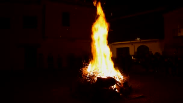 Fuego hecho con madera natural al aire libre — Vídeo de stock