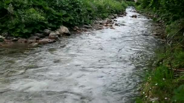 Agua fría y limpia del río y naturaleza — Vídeos de Stock