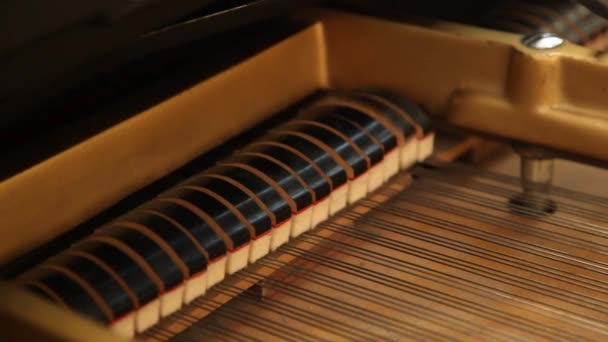 Pianosträngarna medan du spelar — Stockvideo