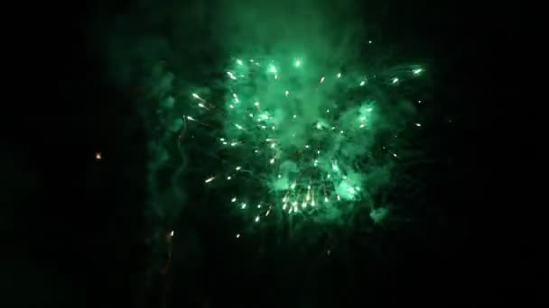 Schönes Feuerwerk in der Nacht — Stockvideo