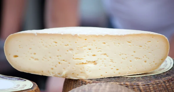 Fresh caciotta, italian cheese — Stock Photo, Image