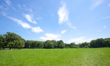 Central park güneşli bir gün