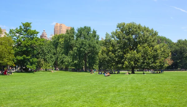 Central Park nella giornata di sole — Foto Stock