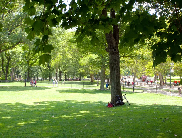 Central park güneşli bir gün — Stok fotoğraf