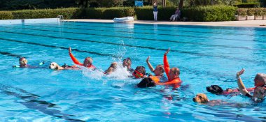 Köpek cankurtaran, gösteri kurtarma.