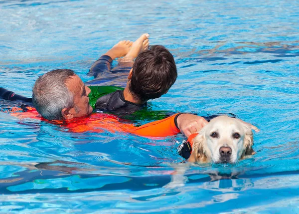 Lifeguard hond, redden demonstratie. — Stockfoto