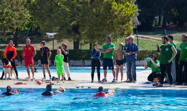 Υπάρχει και ναυαγοσώστης σκυλιών, διάσωση επίδειξης. — Φωτογραφία Αρχείου