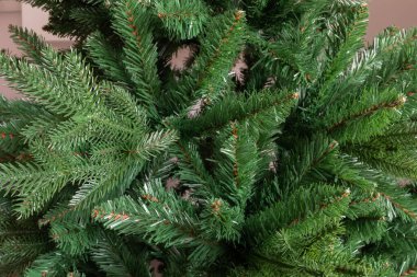 Çıplak sentetik Noel ağacı dalları, tatil ve kış tasarımları, dekorasyonlar ve şenlikli mevsimsel kavramlar için yoğun yeşil desenli bir zemin oluşturuyor.