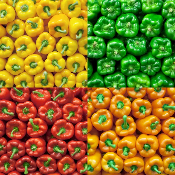Collage of fresh bell peppers — Stock Photo, Image