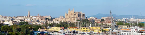 La seu Cathedra inl Palma de Mallorca - Stock-foto