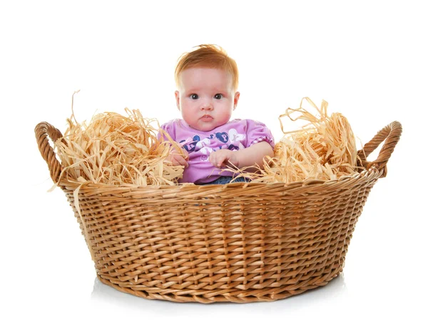 Bébé dans le panier — Photo