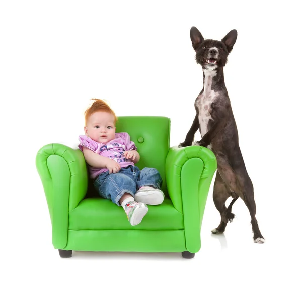 Peuter met een kleine zwarte hond. — Stockfoto