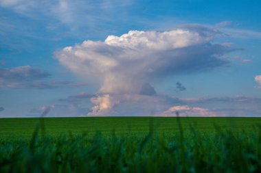 yeşil alan ve gökyüzü
