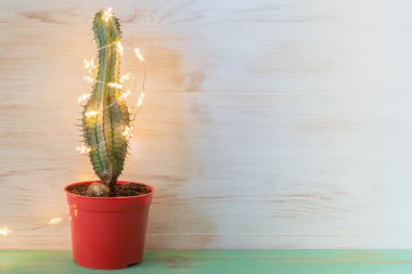 Noel kaktüsü ağacı, üzerinde parlak çelenk olan eski ahşap arka planda fotokopi alanı olan. Alternatif Noel ağacı olarak kaktüs. Tropik Noel havası.