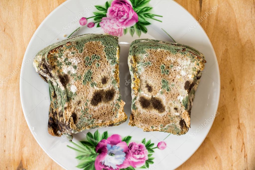 Moldy bread on a beautiful plate. ⬇ Stock Photo, Image by © Onda475