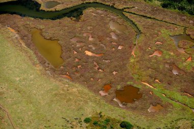 Kırmızı su birikintisi