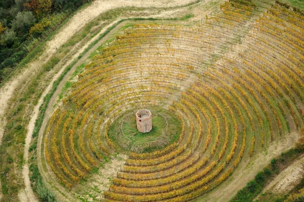 Bağ Tuscany'de yuvarlak Telifsiz Stok Imajlar