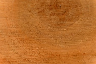 Ahşap günlükleri görüntüsünü yakından