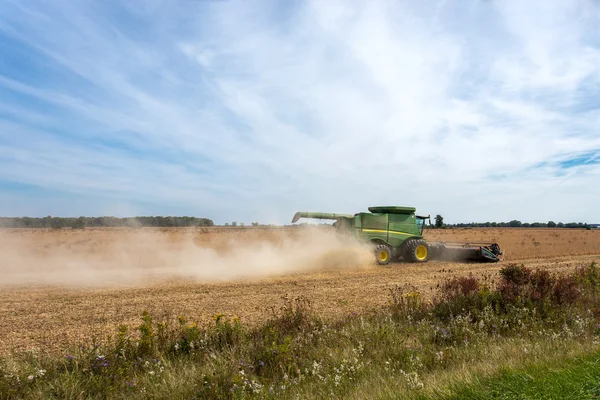 Grüner Mähdrescher auf gelbem Feld — Stockfoto