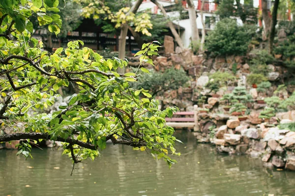 在上海余元花园 — 图库照片