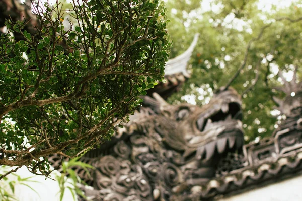 Green Plants Dragon Shanghai Yuyuan Garden — Stock Photo, Image