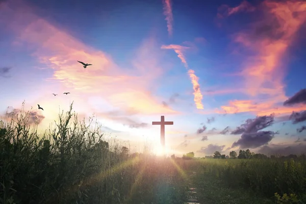 复活节概念 日落时的交叉天空背景 — 图库照片
