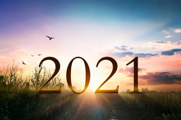 2021 Konsepti Mutlu Yıllar 2021 Çimlerin Üzerinde Gün Batımı Işığıyla — Stok fotoğraf