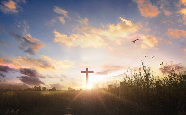 black cross religion symbol silhouette in grass over sunset sky background