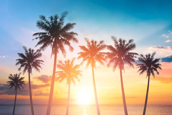 Silhouette Φοίνικες Καρύδας Στην Παραλία Στο Ηλιοβασίλεμα — Φωτογραφία Αρχείου