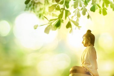Vesak Günü kavramı: Buda heykeli doğada gün batımında bulanık arkaplan